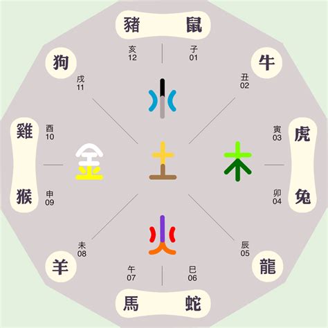 俊 五行|俊的五行属性是什么